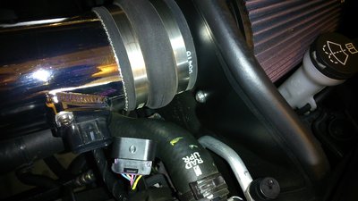 DSC_0411.JPG