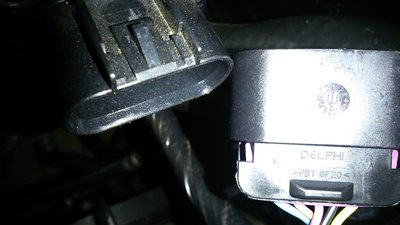 DSC_0410.JPG