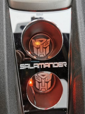 Salamander 1