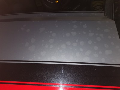 IMG_20210711_183042.jpg