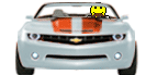 :bigcam: